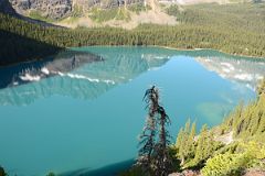 15 Lake O-Hara From Top Of First Ridge On Lake Oesa Trail With Mount Schaffer and Odaray Mountain Reflected In The Lake Morning
